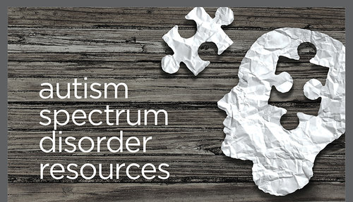 Autism Spectrum Disorder Report, Comprehensive Study of Resources in the Capital Region